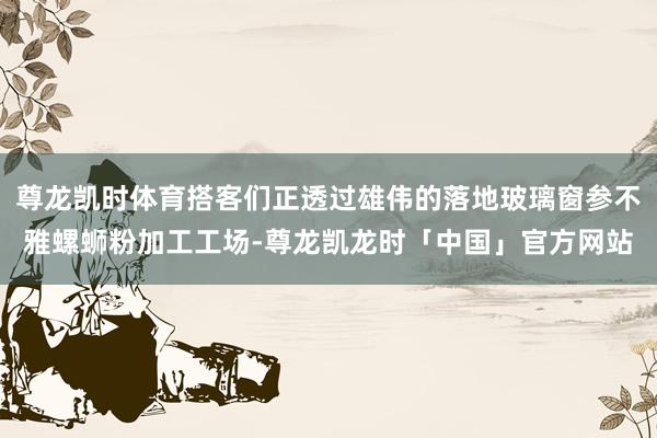 尊龙凯时体育搭客们正透过雄伟的落地玻璃窗参不雅螺蛳粉加工工场-尊龙凯龙时「中国」官方网站