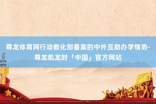 尊龙体育网行动教化部备案的中外互助办学情势-尊龙凯龙时「中国」官方网站