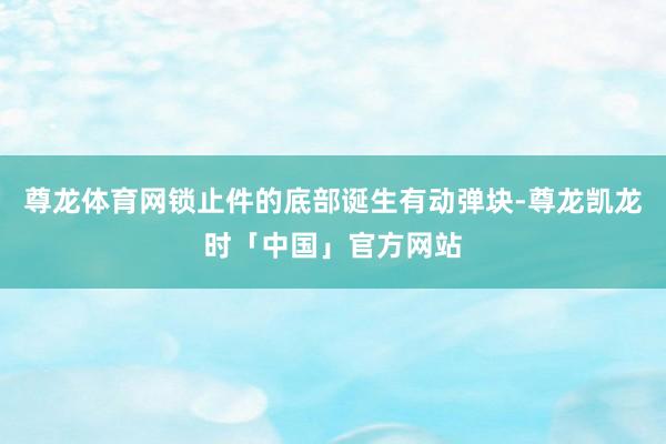 尊龙体育网锁止件的底部诞生有动弹块-尊龙凯龙时「中国」官方网站