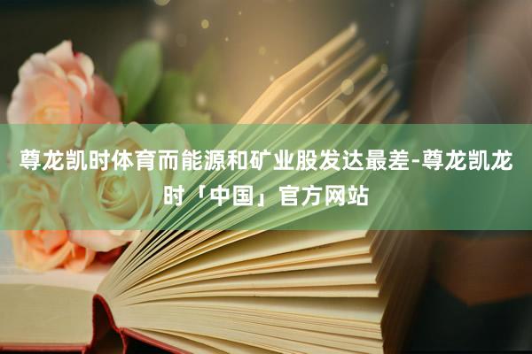 尊龙凯时体育而能源和矿业股发达最差-尊龙凯龙时「中国」官方网站