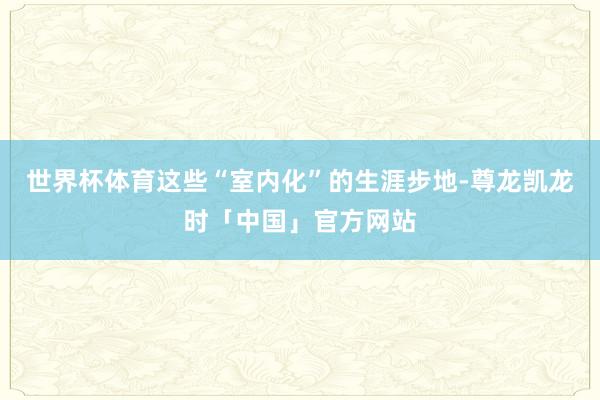 世界杯体育这些“室内化”的生涯步地-尊龙凯龙时「中国」官方网站