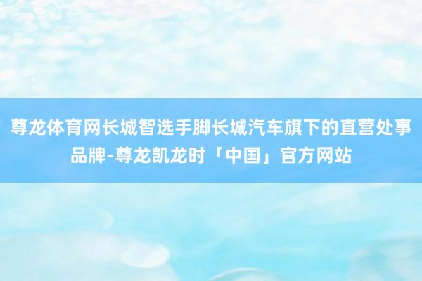 尊龙体育网长城智选手脚长城汽车旗下的直营处事品牌-尊龙凯龙时「中国」官方网站
