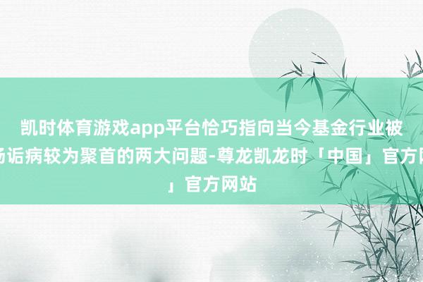 凯时体育游戏app平台恰巧指向当今基金行业被商场诟病较为聚首的两大问题-尊龙凯龙时「中国」官方网站